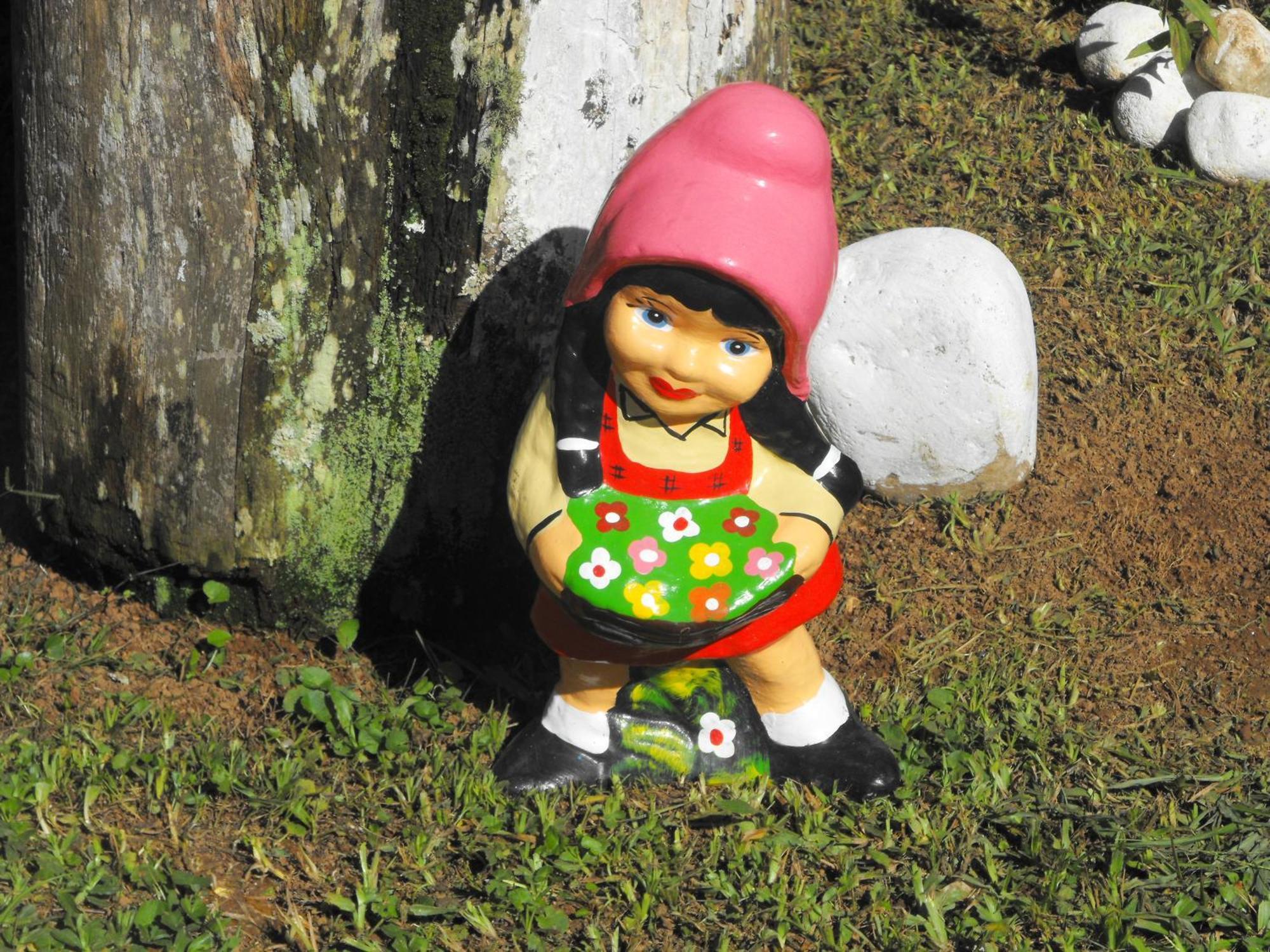 Pousada Cascata Dos Amores Teresopolis Ngoại thất bức ảnh