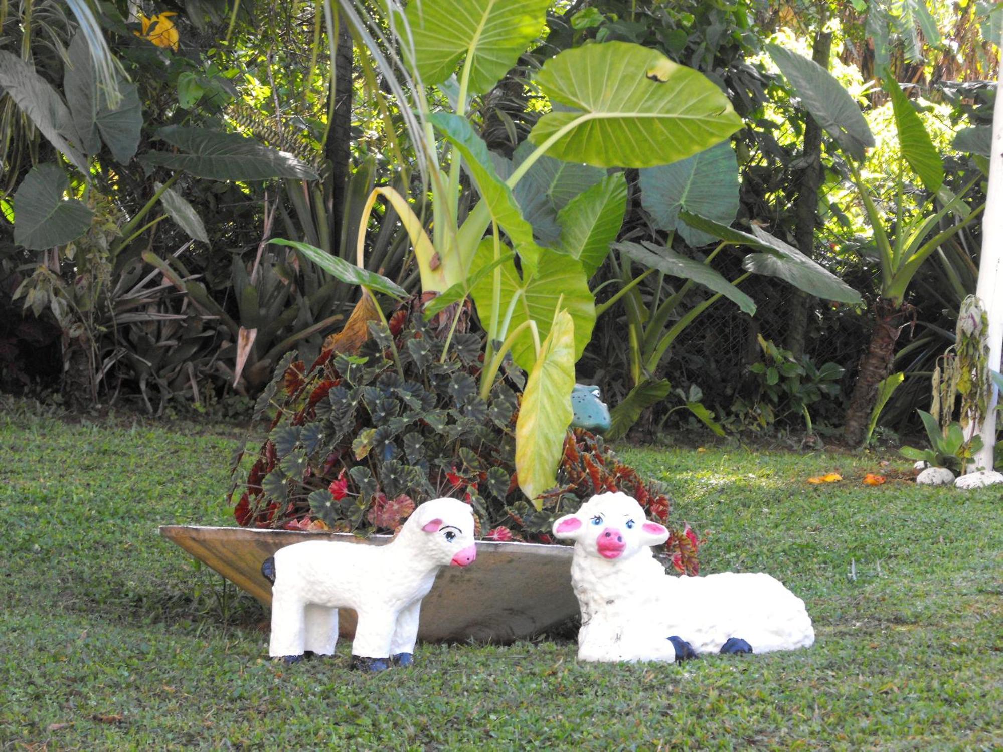 Pousada Cascata Dos Amores Teresopolis Ngoại thất bức ảnh