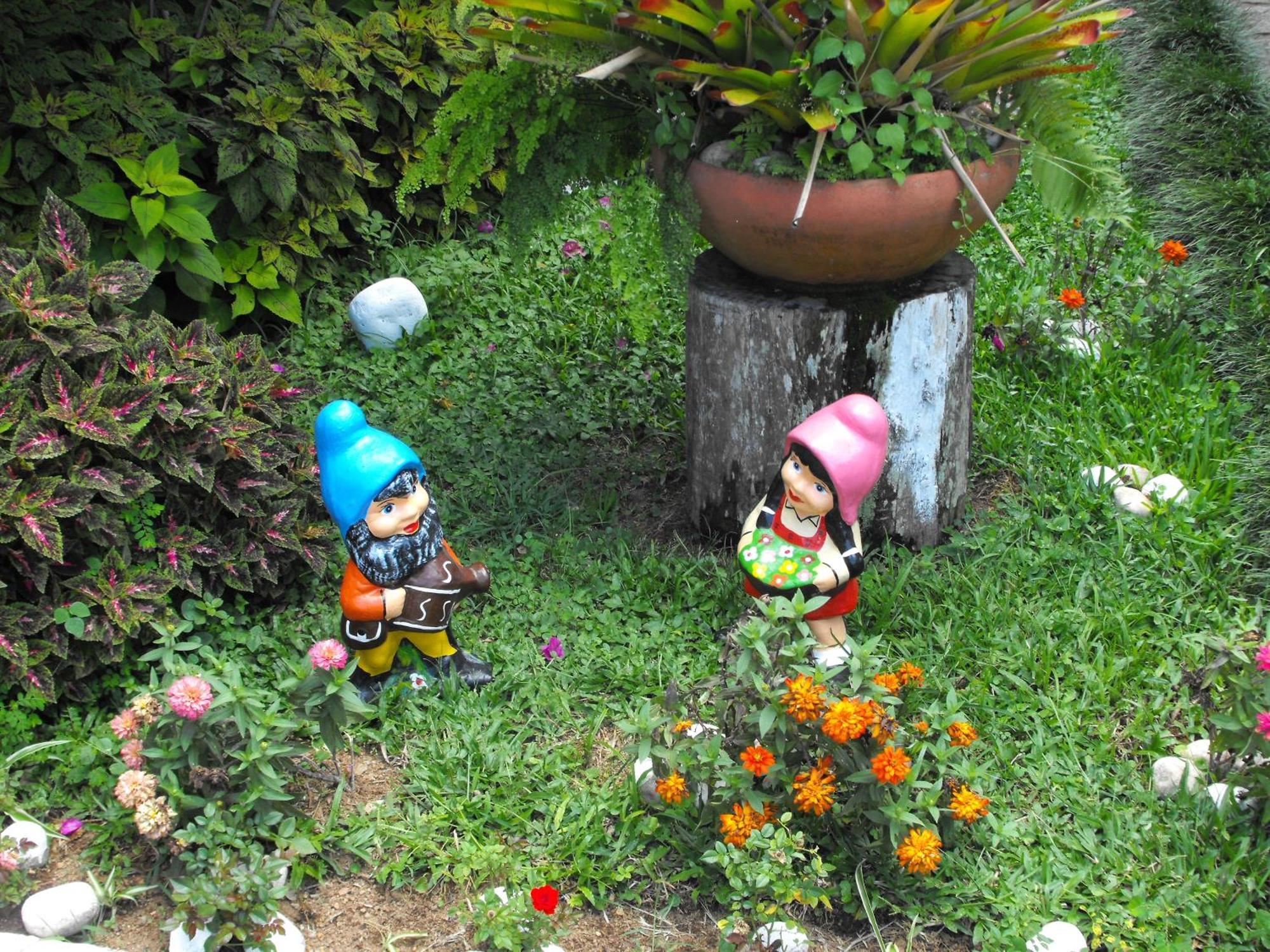 Pousada Cascata Dos Amores Teresopolis Ngoại thất bức ảnh
